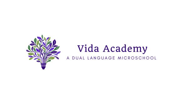 Vida Academy